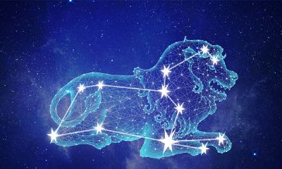 狮子座2023年下半年事业运势（狮子座2月运势2023）