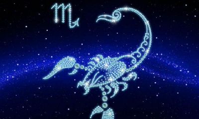 双鱼座脱单有望吗（白羊座什么时候脱单）