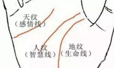 手相的三根线代表什么（手相三条线分别是什么）