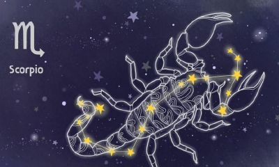 占卜经典话术（占卜常用套话）