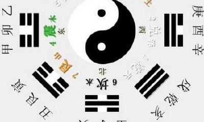 属猪适合佩戴什么饰品（属猪佩戴什么玉石最好）