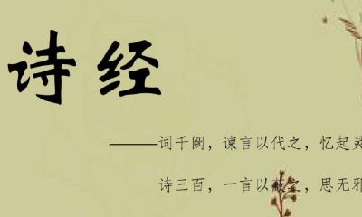 实姓取名大全（女孩取名用字大全）