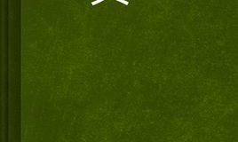 大轮回术什么时候练成的（大轮回什么意思）