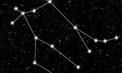 摩羯座对双子座会肯花钱吗（摩羯女和双子男谁虐谁）