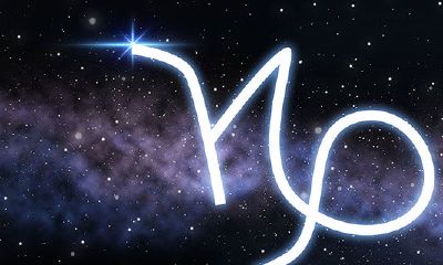 摩羯座日期分类（摩羯座的分类）