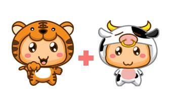 属牛的人今天的财运（属牛的今日运势财运）