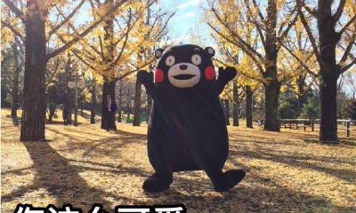 摩羯座男白羊座女生（摩羯座男和水瓶座女配吗）