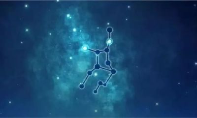 十二星座里最漂亮的是谁（十二星座谁最美）