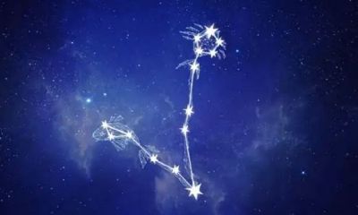 双鱼座了解一下（双鱼座全面解析）
