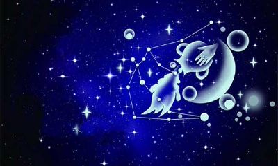 怎么算水象星座（水象星座性格）