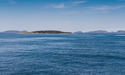 天蝎座什么名字好听（天蝎座取什么网名）