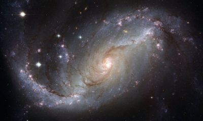 星座属于心理学什么效应（星座理论是什么效应）