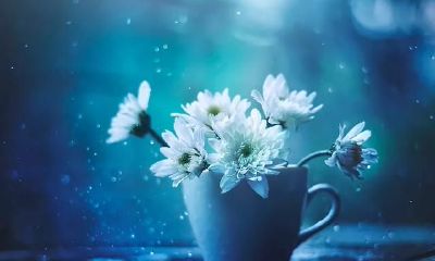 不能惹的面相（看起来不好惹的面相）