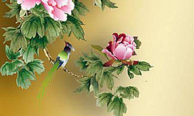 紫微斗数怎么看父母寿命（紫微斗数算父母寿命绝招）