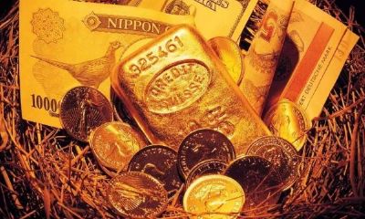 生肖运程预测（十二生肖运势查询）