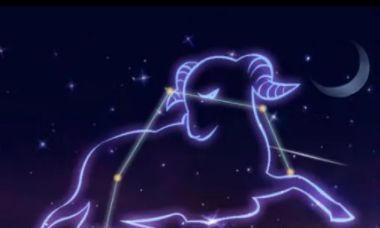 狮子座男恋爱观（陶白白说狮子座的爱情观）