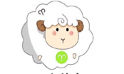 白羊座能接受冷暴力吗（白羊座会接受道歉吗）