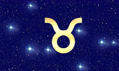 白羊座是什么星座标志（最管得住白羊座的星座）