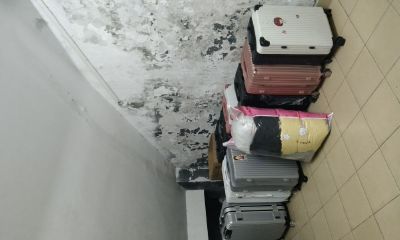 梦见老鼠被困住了（梦见两只老鼠一大一小）