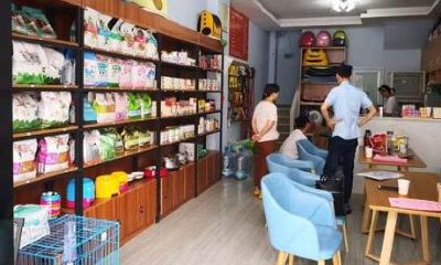 宠物店铺起名（百货店铺取名大全最新）