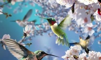 四季轮回意思（一年四季的轮回与人生）