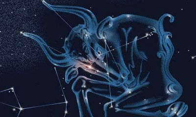 金牛女喜欢什么星座（金牛座最痴迷什么星座）