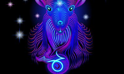 易观塔罗占卜2023年摩羯感情运势（摩羯座塔罗牌占卜爱情）