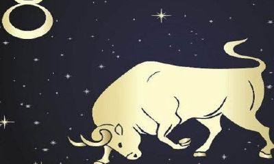 金牛座男适合谈恋爱吗（金牛座适合和什么星座谈恋爱）