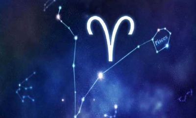 白羊座越来越爱一个人的表现（白羊男爱一个人会发疯）