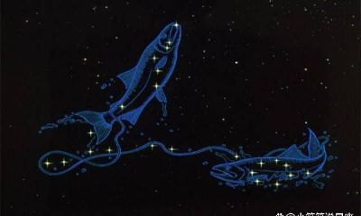 双鱼座每天都要问的问题（双鱼座会主动找你聊天吗）