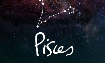 双鱼座运势紫微黄历（双鱼座紫微科技星座网）