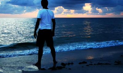 狮子座脾气很好吗（射手座女生性格脾气）