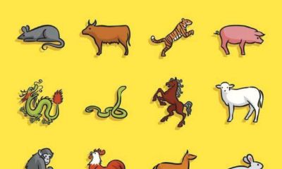 十二生肖哪个属相最有钱（十二属相命运解析）