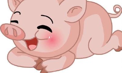 属蛇三合生肖是什么佩戴（属蛇宜佩戴什么生肖）