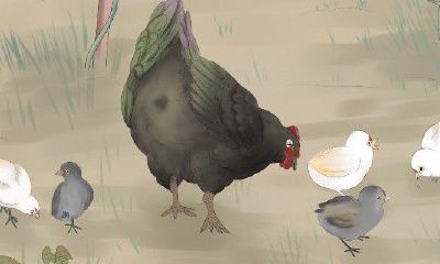 属鸡老公性格（属鸡的男人性格怎么样）