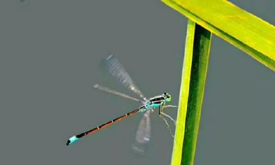 测试下一段恋情会幸福吗（塔罗测试下一段感情）