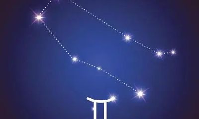 双子座喜欢不理他的女生吗（双子座不想理你的表现）