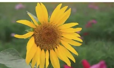 能带来财运的名字大全重叠字（代表财运的字）