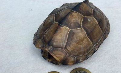 占卜今天运势（测测今天运气）