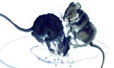 最难相处的生肖女（把老婆当宝的属相男）