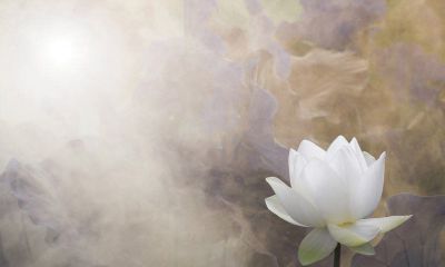 狮子座女生天秤座男（天秤座男生性格和狮子座女生）