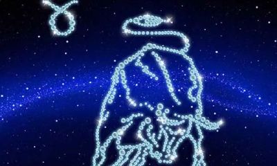 属猪金牛座女2023年12月运势（2023年属猪金牛座）