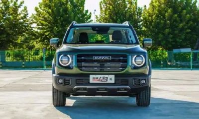 哈弗大狗为什么出旺财版（81年属鸡哪个月出生好）