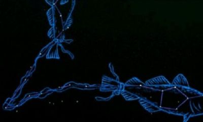 双鱼座恐怖之处（双鱼座的九大缺点）