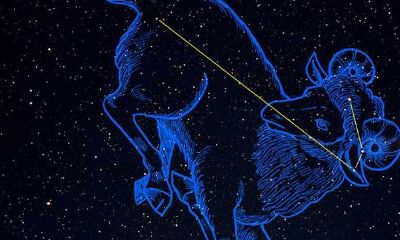 白羊女喜欢追还是被追（白羊女喜欢你的9大表现）