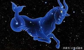 摩羯座男生喜欢女生怎么夸他（摩羯座喜欢别人怎么夸他）