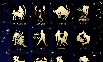 我想了解处女座的一切（我想了解天秤座女）