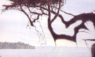 心理性别测试是男是女（测试你性格像男孩还是女孩）