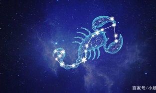 狮子座会解释吗（狮子座被误会了会解释吗）