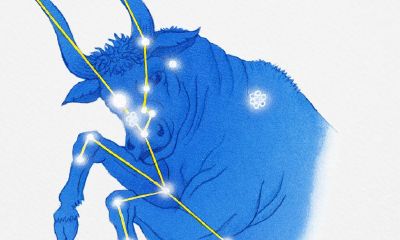 金牛座配什么星座的女生最合适（摩羯座女生和什么星座男生最配）